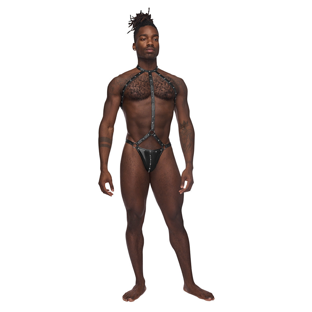 Gladiator Black L/Xl | 845830041096 | Discreet Personal Wellness