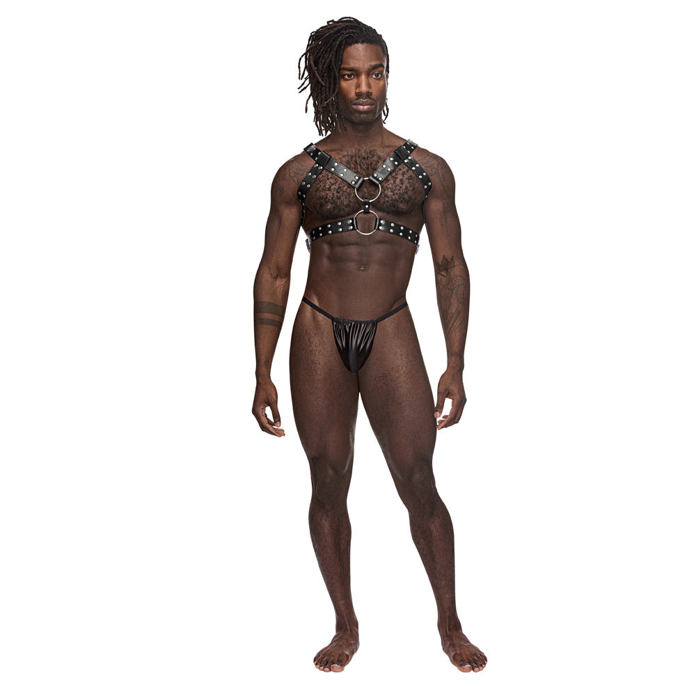 Gemini Black One Size | 845830085953 | Discreet Personal Wellness