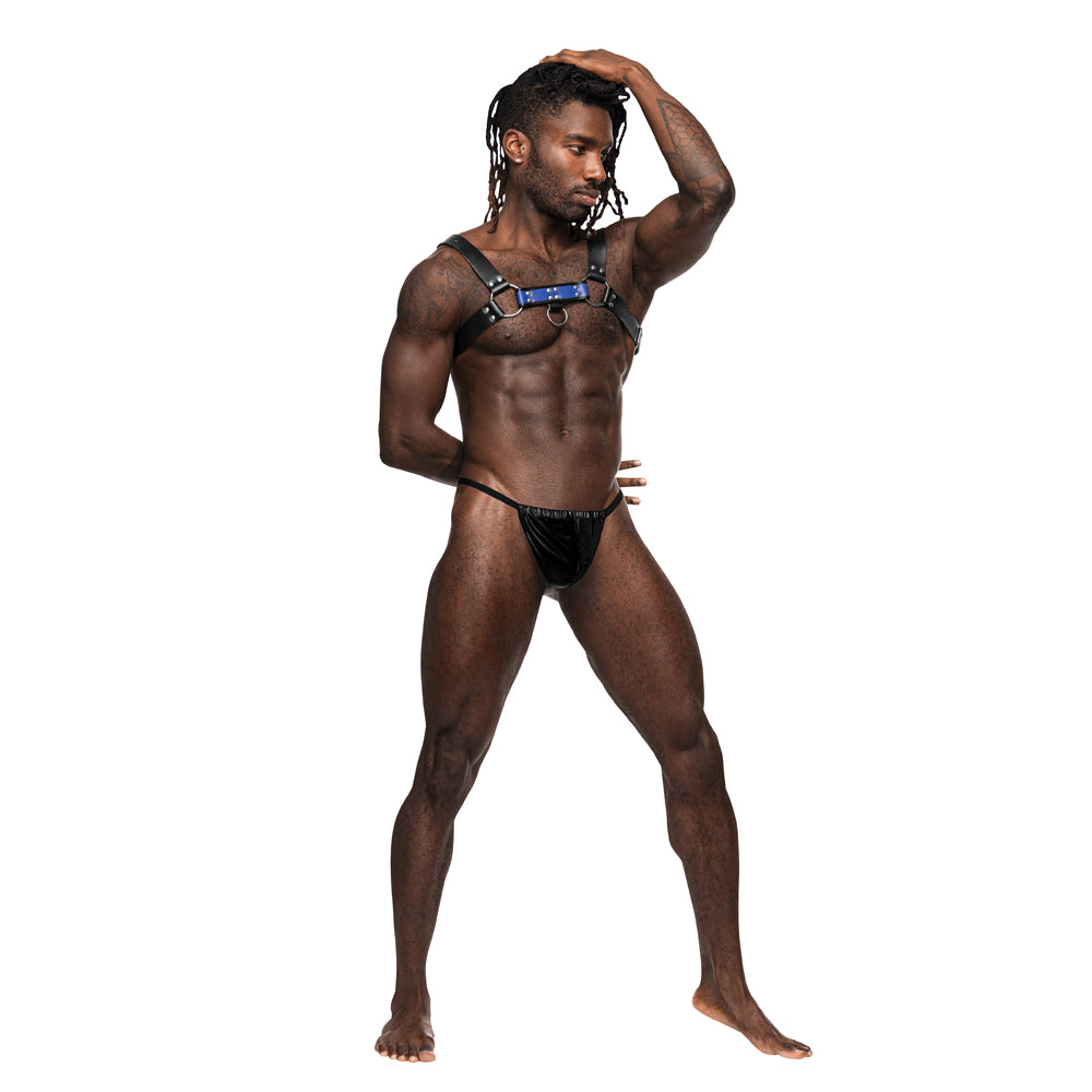 Aries Leather Harness | 845830087131 | Discreet Personal Wellness