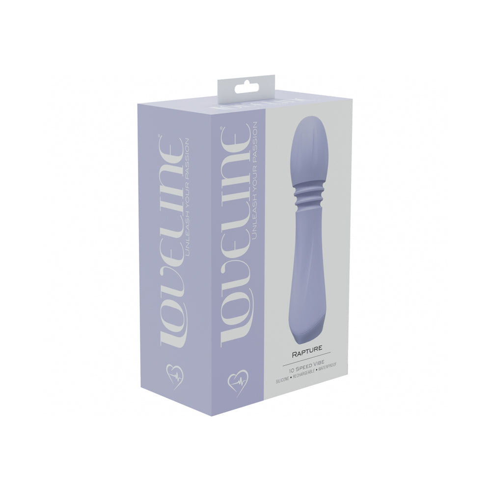 Rapture 10 Speed Vibe Silicone Rechargeable Waterproof Lavender | 8714273053886 | Discreet Personal Wellness