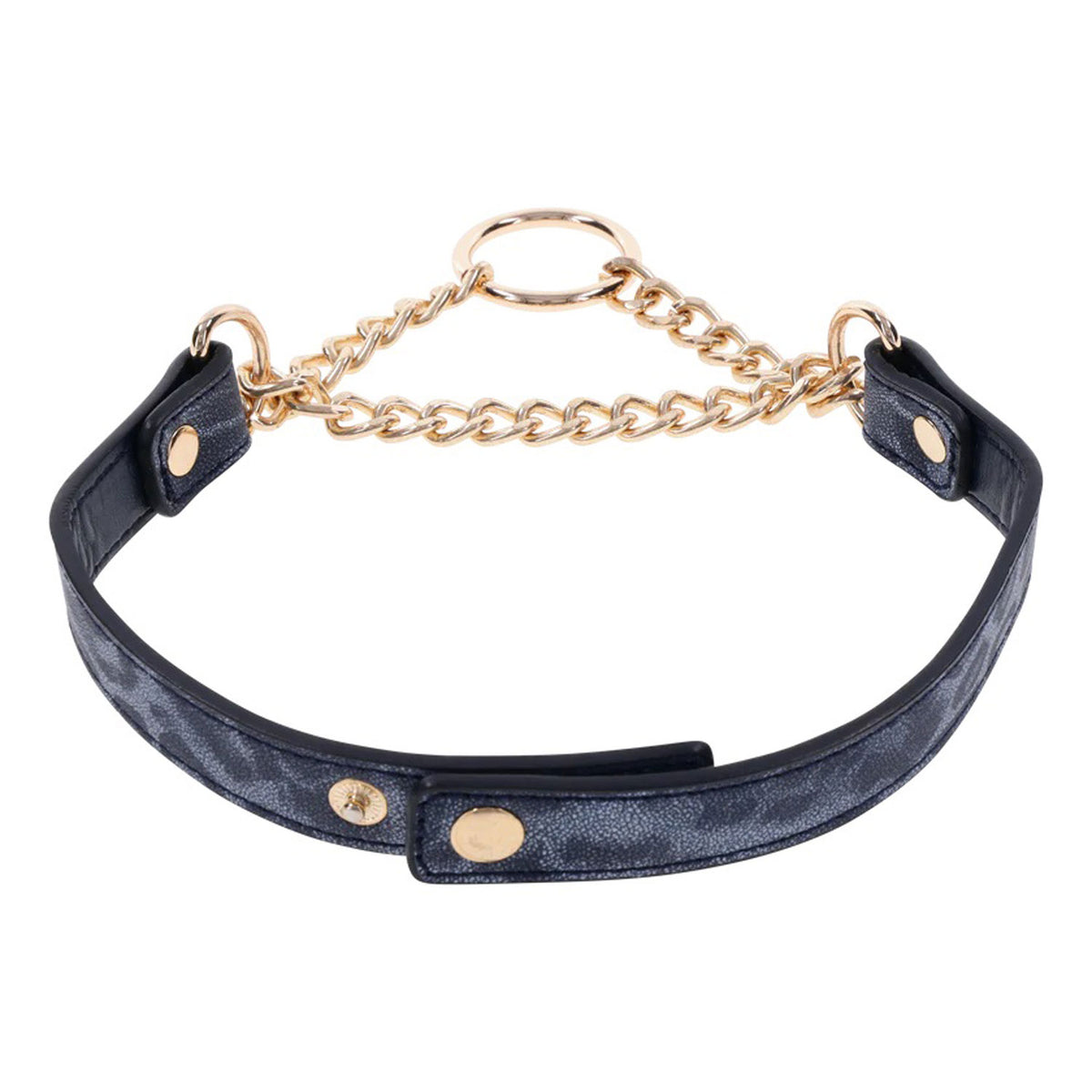 Cougar Day Collar | 646709099749 | Discreet Personal Wellness