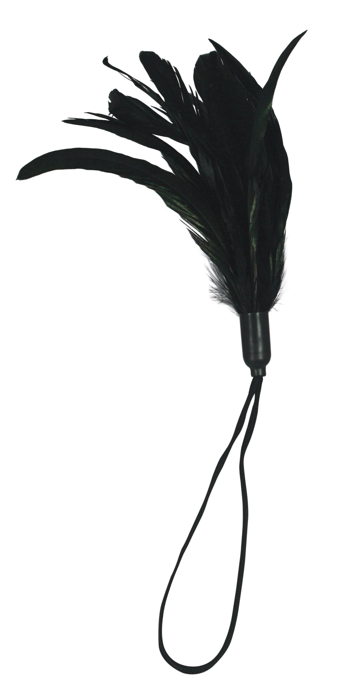 Pleasure Feather - Black | 646709261016 | Discreet Personal Wellness